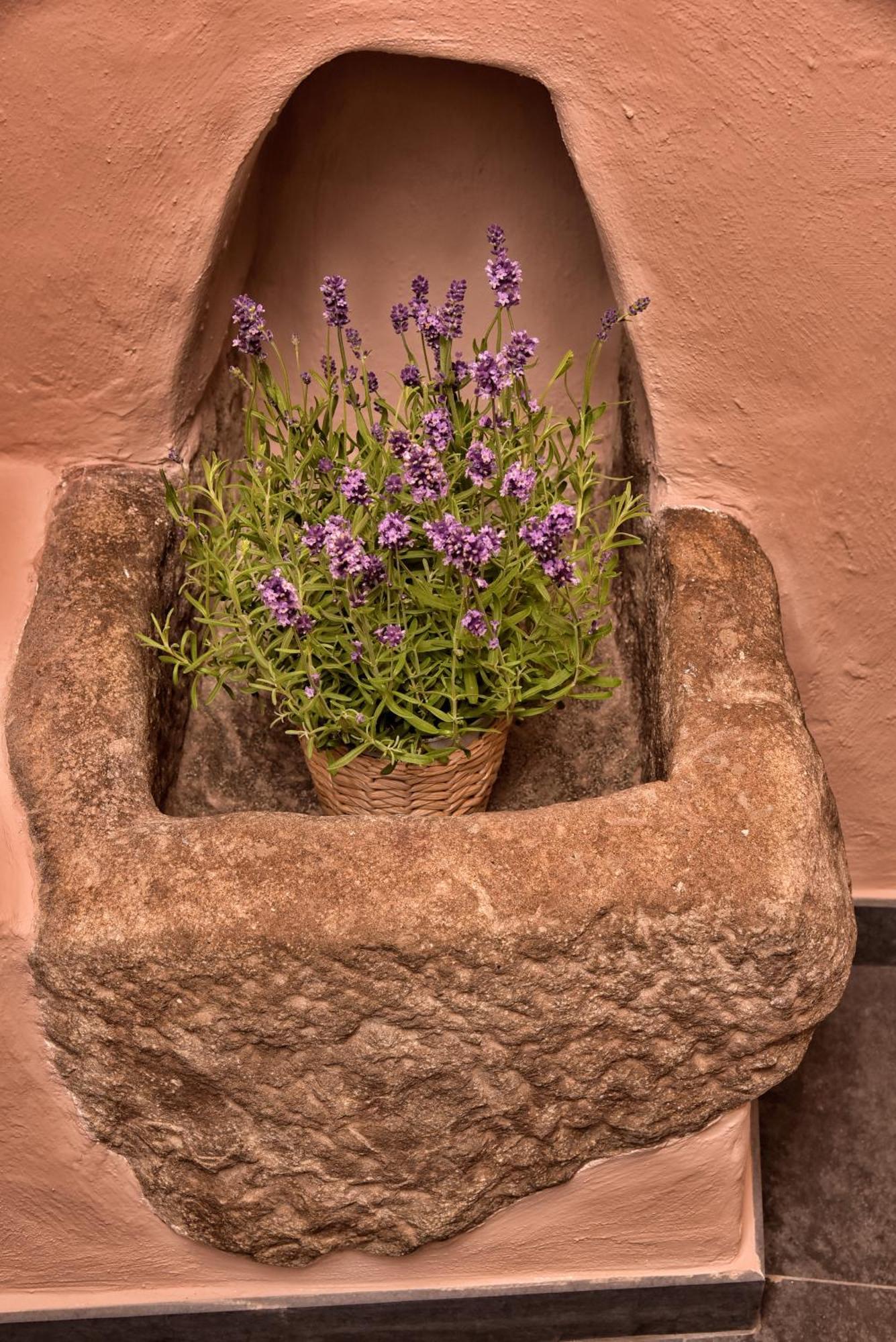 Casa Vacanze Tra I Monti E San Martino Biassa Exterior foto