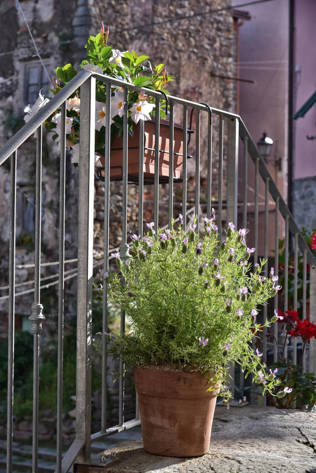 Casa Vacanze Tra I Monti E San Martino Biassa Exterior foto